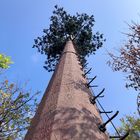 30m / S Coconut Tree Camouflage Cell Tower สำหรับกลางแจ้ง